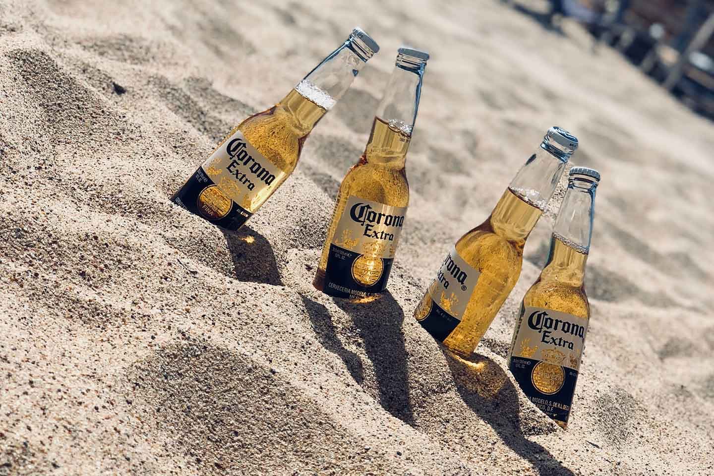 Introduction of Constellation Brands (STZ)